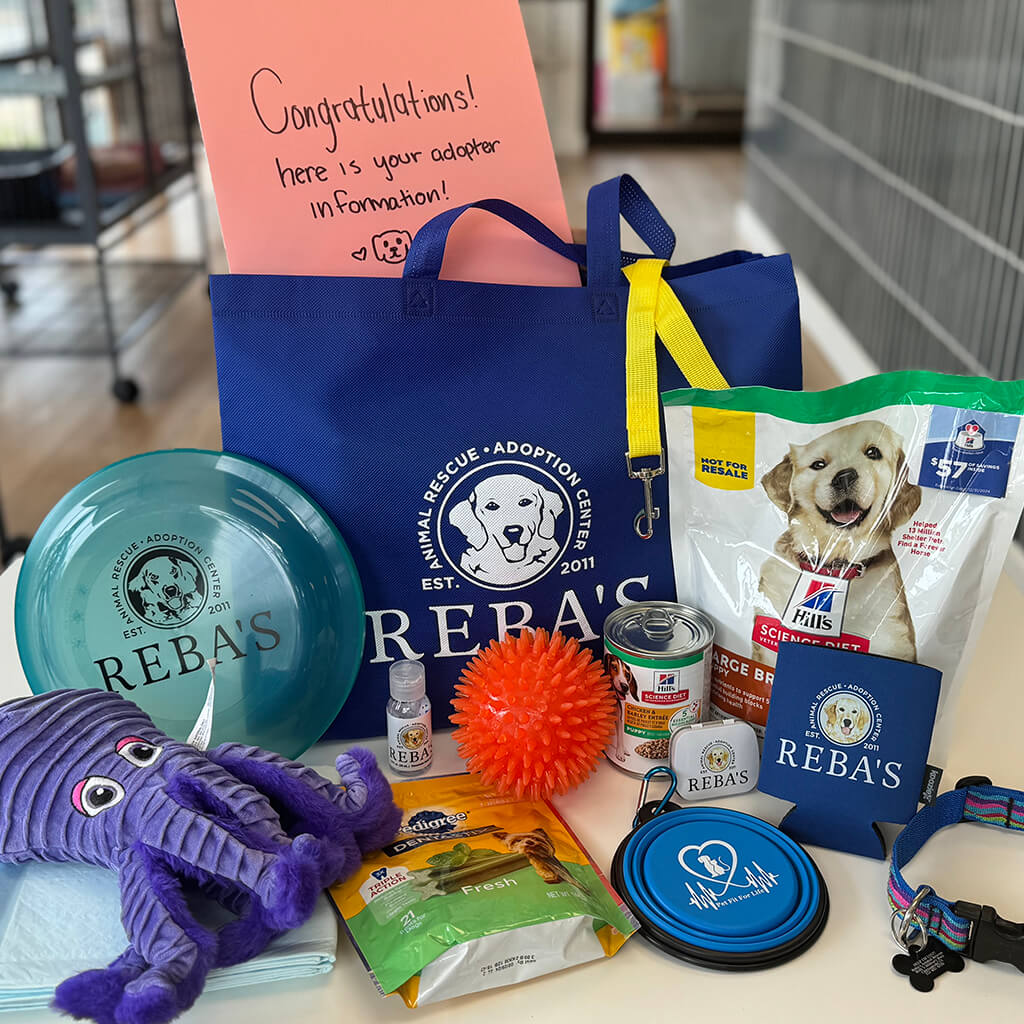 Inside our welcome bag we have a Hill's Science Diet food sample, along with toys, treats, adoption information, and Reba's goodies.