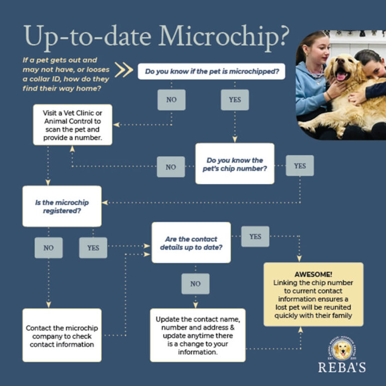 Check microchips to be sure they have the updated information.