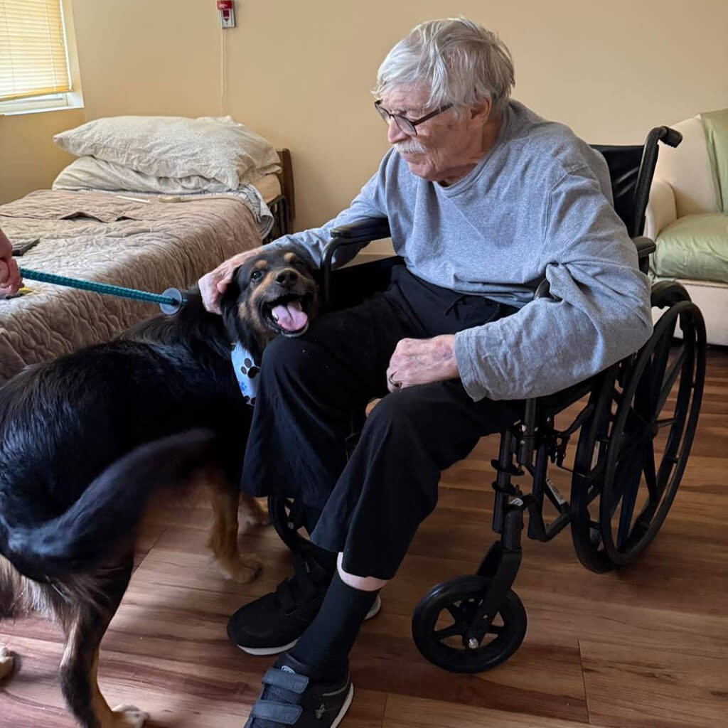 Marlin stands beside a man in a wheelchair with a blue shirt on. The man is petting the dog.