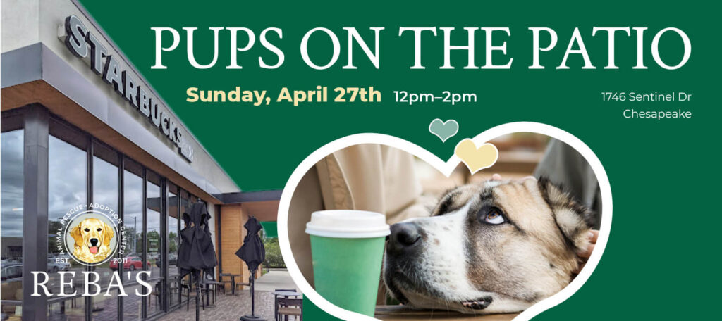 Starbucks Pups on the patio dog friendly event in Chesapeake