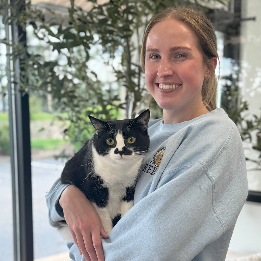 Socializing Community Cats