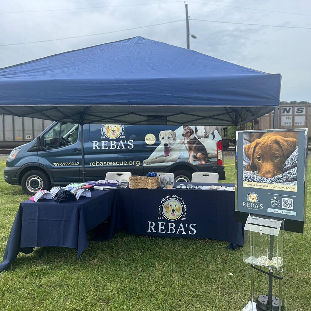 Reba's blue tent set up with a blue tablecloth, merch on top and a donation sign with money box in the front right side on the green grass