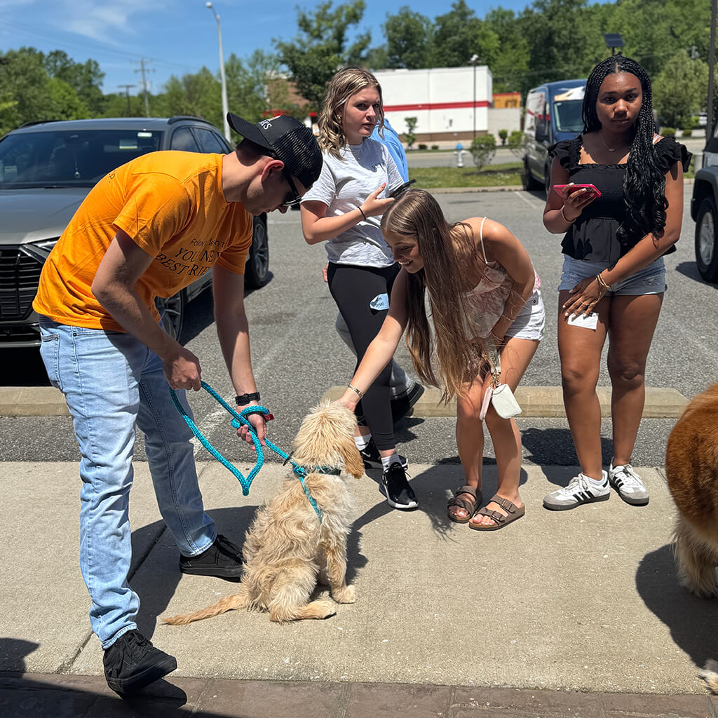 Little tan dog getting attention from a group of girls.