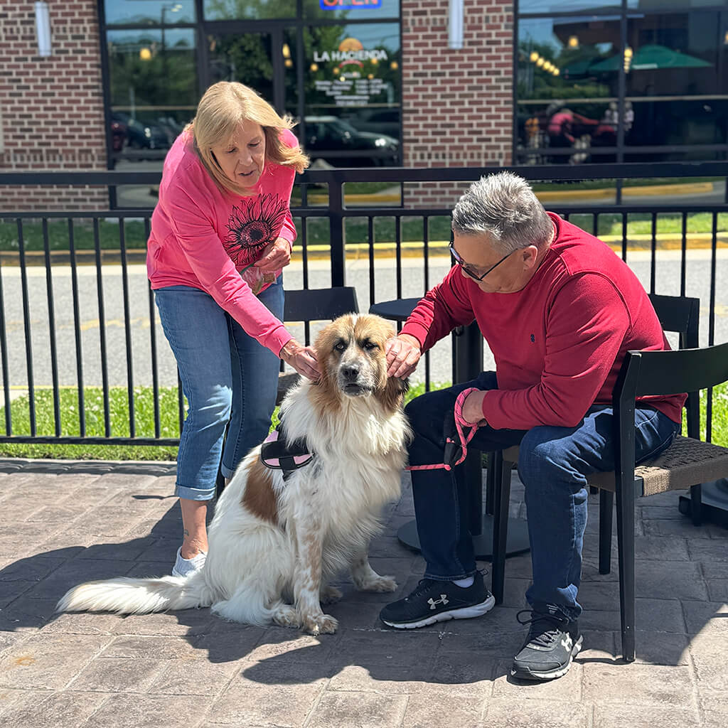 Older couple petting one of the adoptable dog