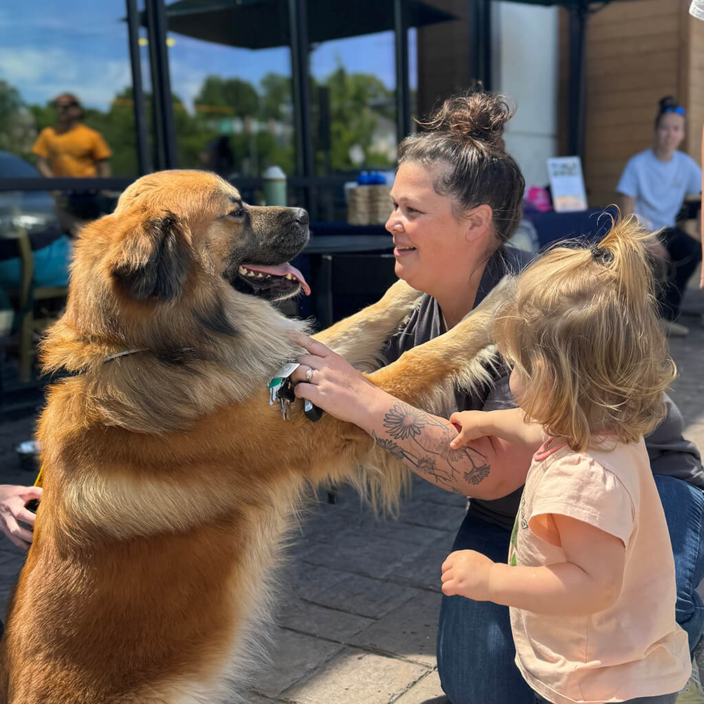 Big dog with paws on ladies shoulders and toddler standing next to them.