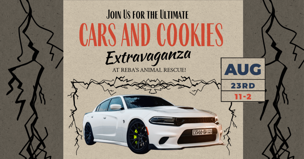 Tan background with a white car and black lightening bolts. The text on the graphic reads Join us for the ultimate cars and cookies extravaganza at Reba's Animal Rescue! August 23rd from 11:00-2:00