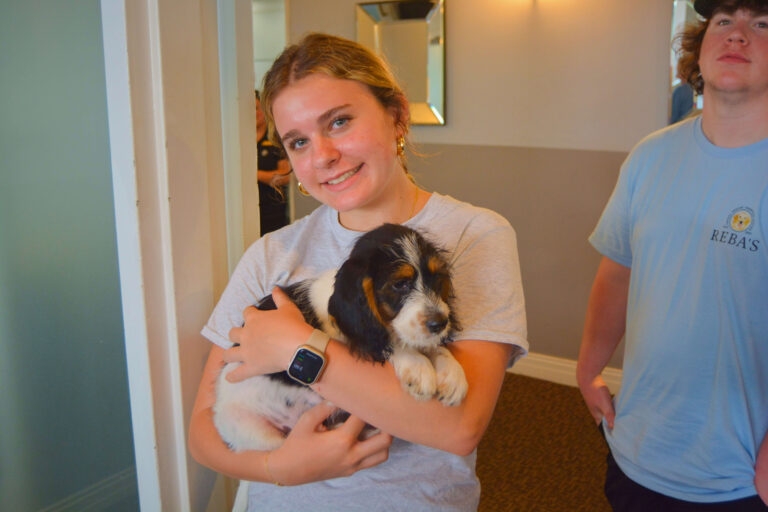 Young girl in gray shirt and hair pulled back holding the black brown and white puppy that got adopted at the event.