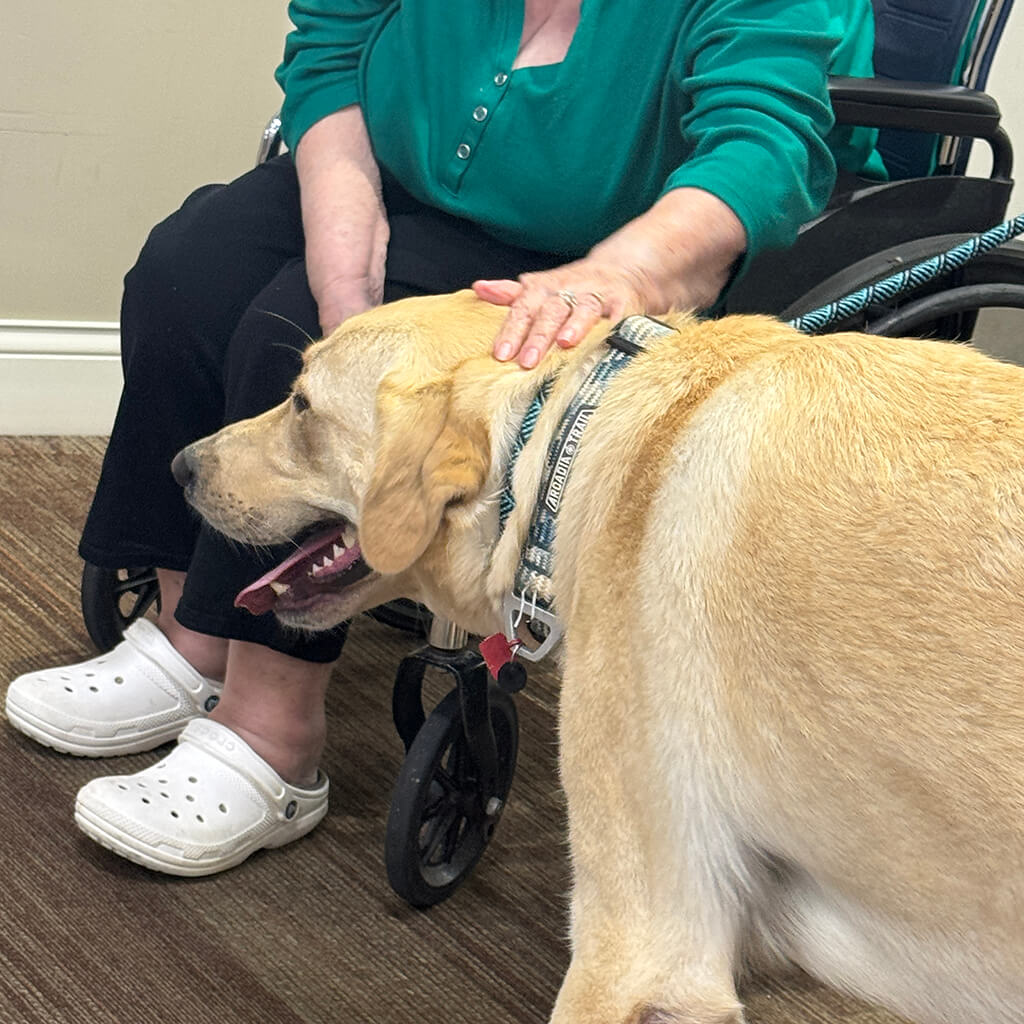 Bingo our top dog gets lots of love from the MHC residents.
