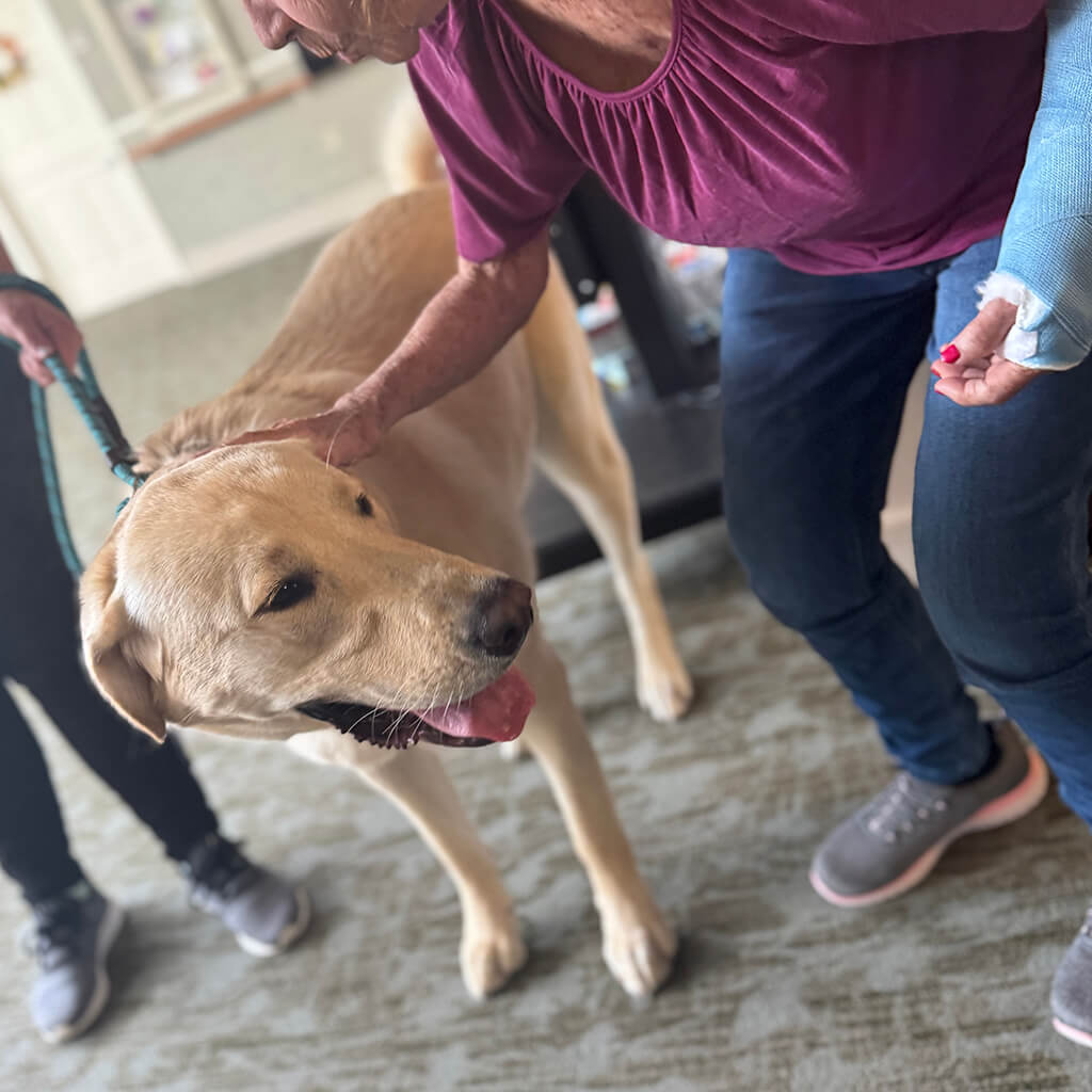 Bingo our top dog gets lots of love from the MHC residents.
