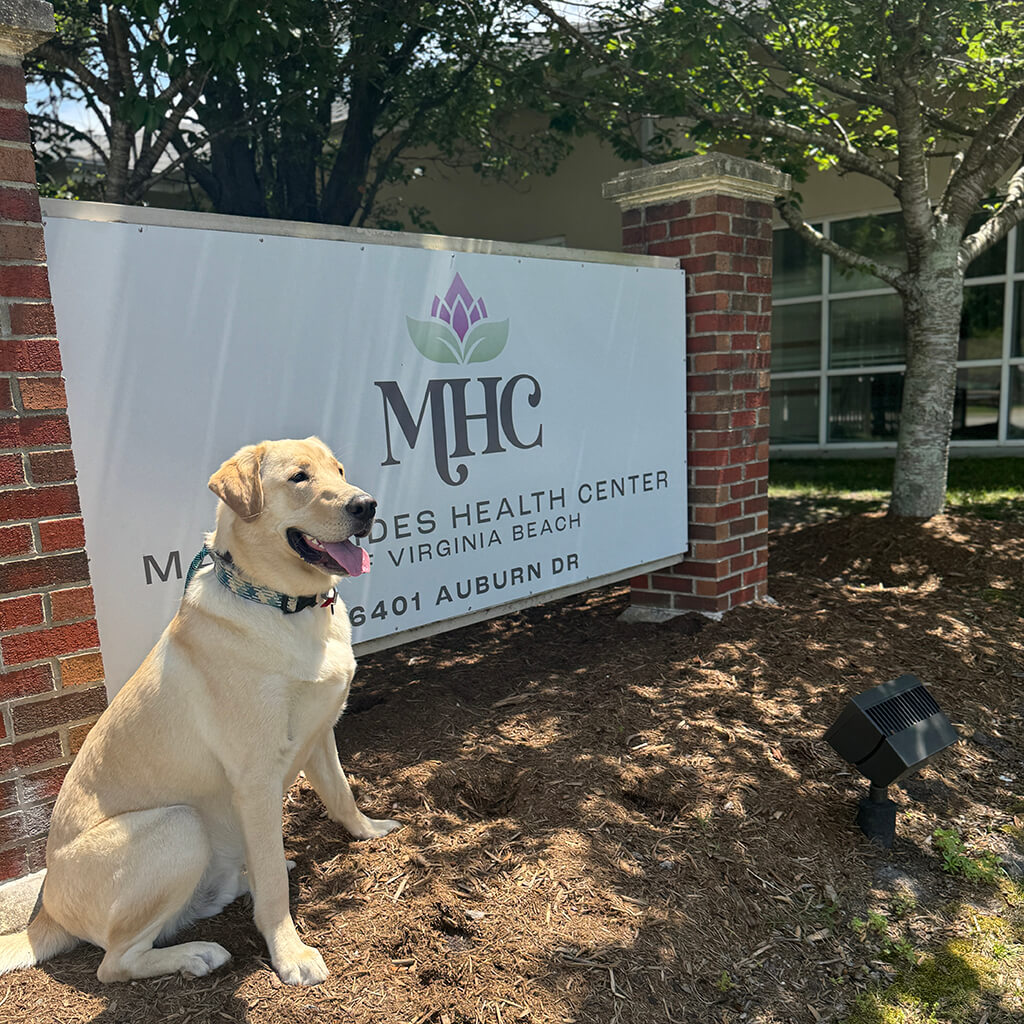 Bingo our yellow lab is sitting in front of the MHC sign outside.