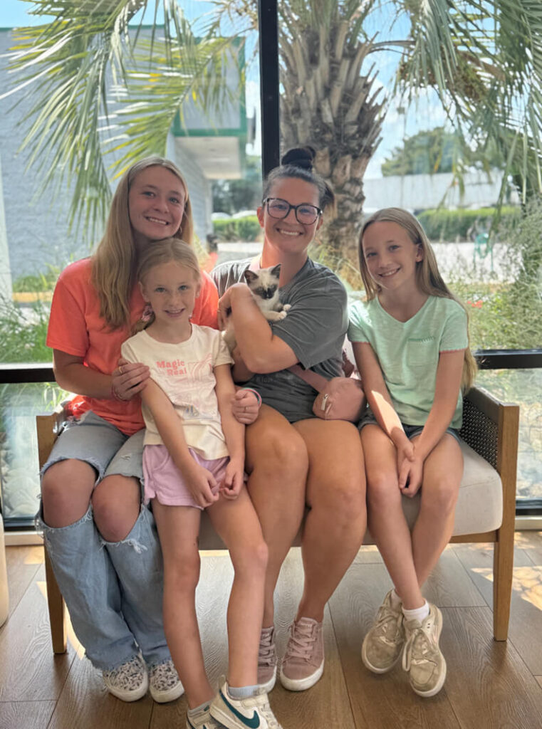 Family of 4. Harper is a siamese mix kitten.