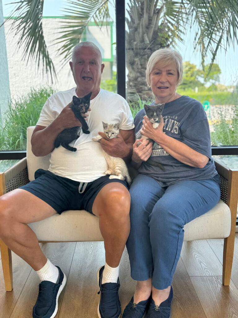This couple adopted 3 kittens! Each kitten is a different color, black, tan, and gray.