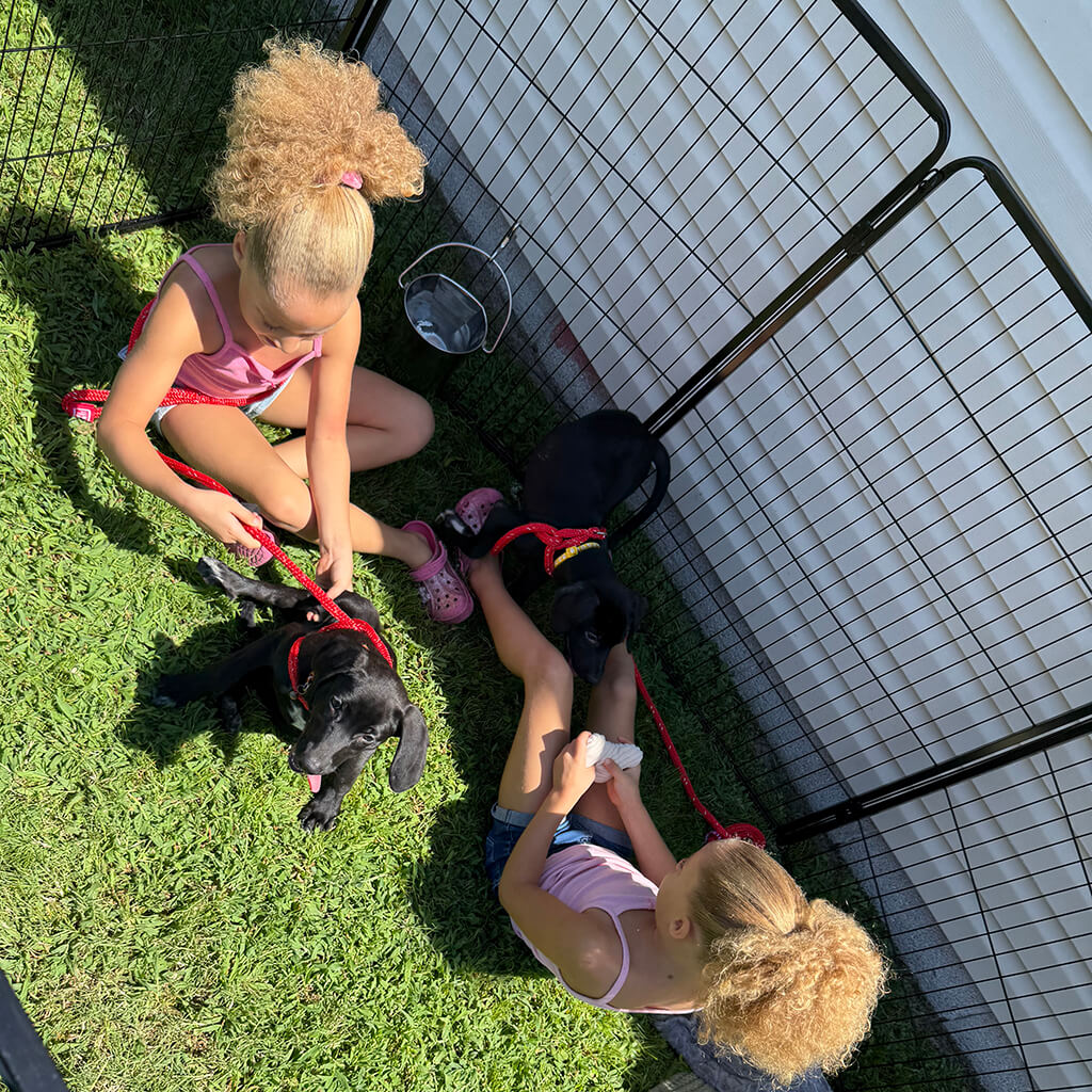 Two young children inside the cage playing with two little black puppies.