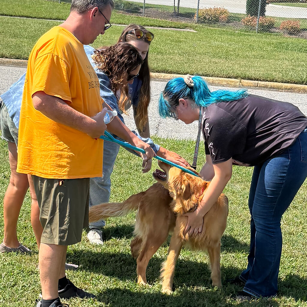 A person with teal hair bends over to pet the golden and two other people join her.