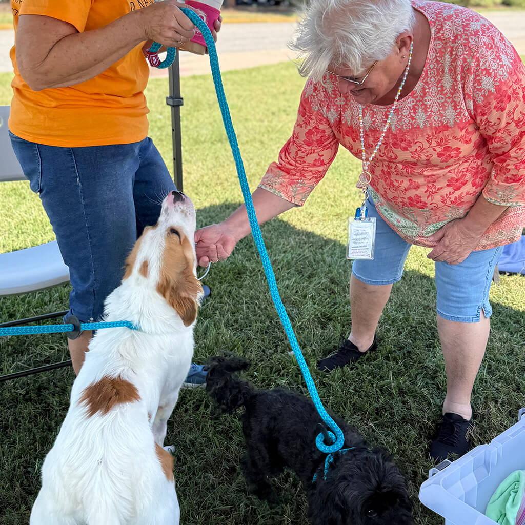 An older lady scratches the chin of the white dog with brown spots.