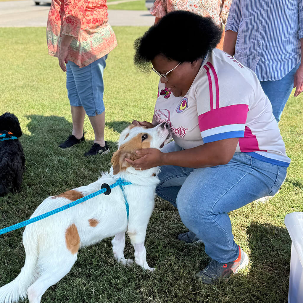 A person in white and pink squats down to pet the white dog with brown spots.