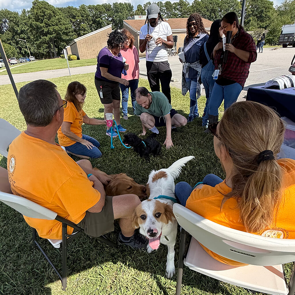 A group of people gather under the tent to see the dogs