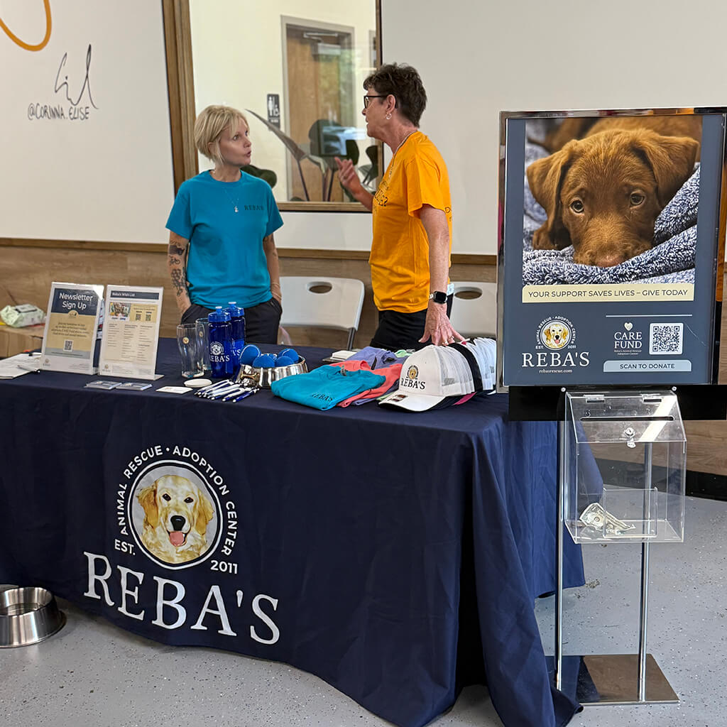 Michelle stands behind the Rebas table talking with a volunteer.