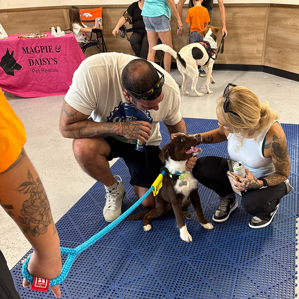 Two people are kneeling down next to the puppy on the blue floor giving the dog attention.