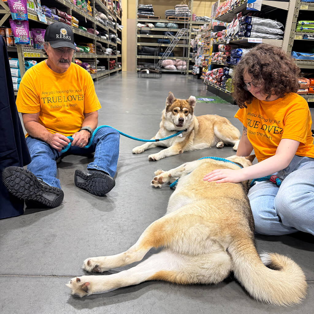 Two volunteers sitting on the floor with the two huskies
