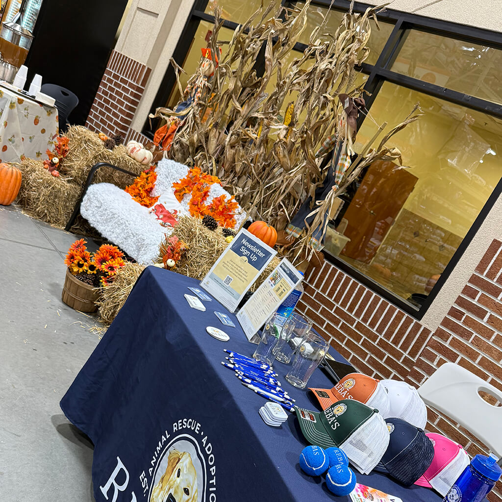 Rebas adoptable event table and autumn photo op set up