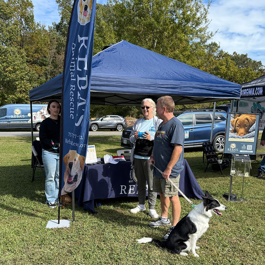 Reba's event tent with guests visiting