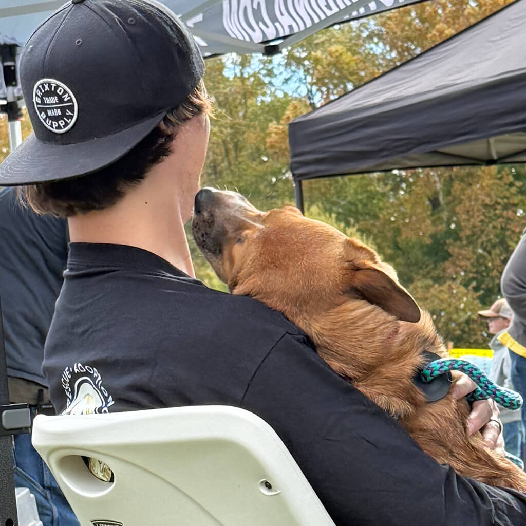 The back view of a brown dog sitting on a guys lap and giving him kisses.
