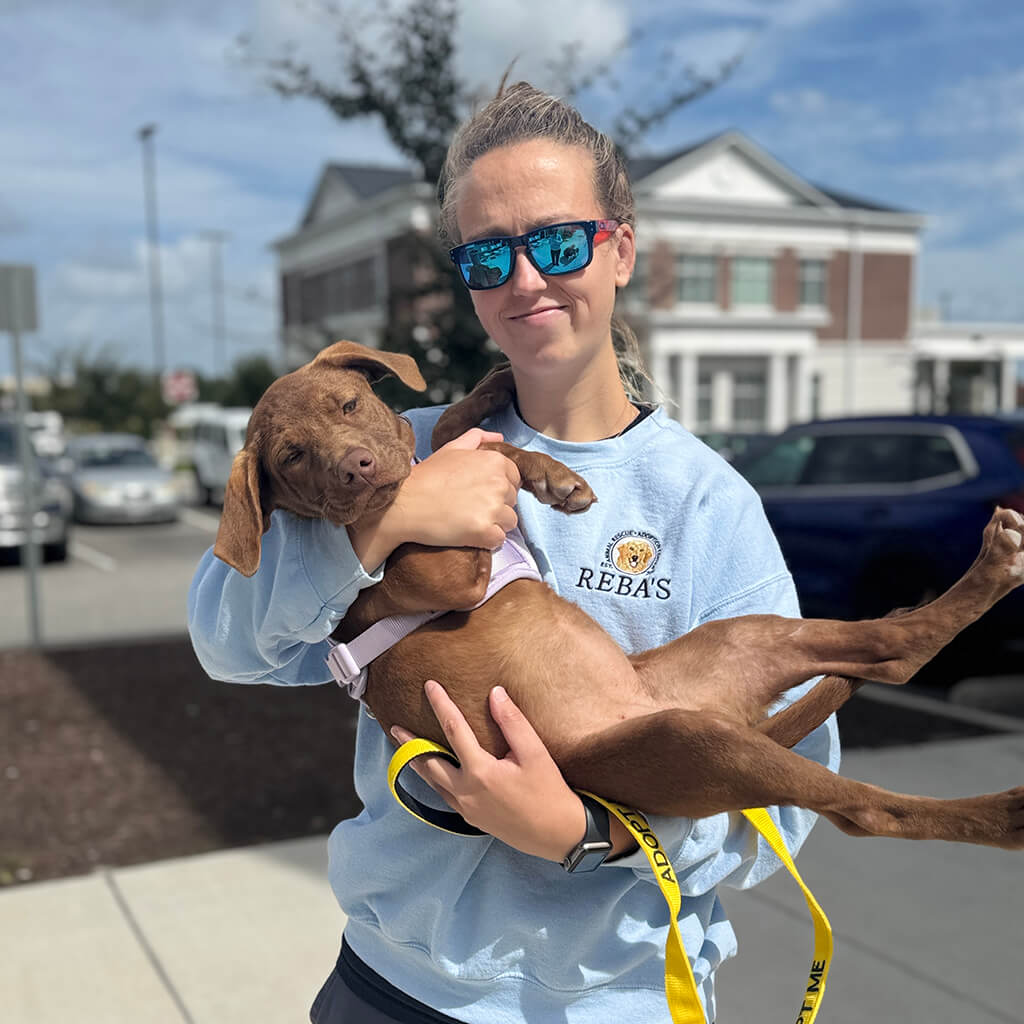 Volunteer in light blue Rebas sweatshirt is holding adorable brown puppy. Puppy is laying back relaxing