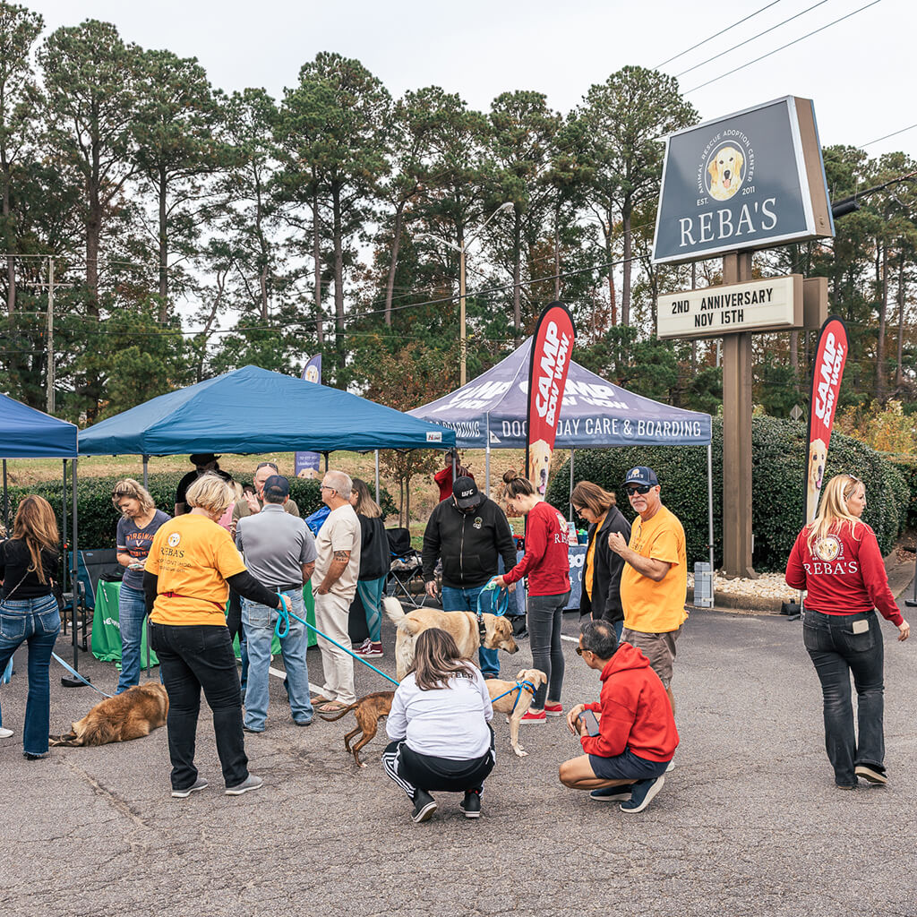 Visitors gathered around the booths and played with the dogs