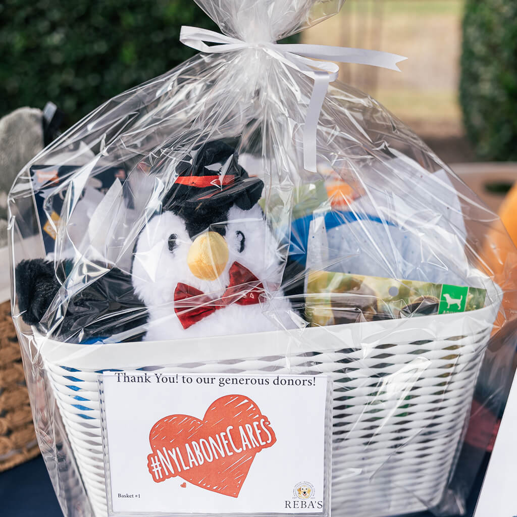 Gift baskets were raffled off at the event. This dog themed basket was donated by Nylabones.