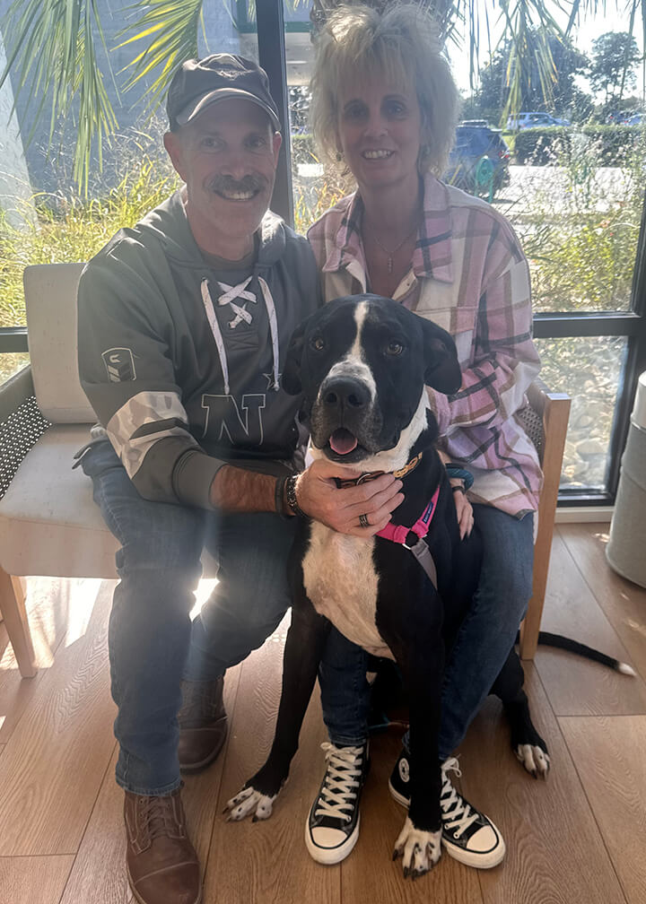 Adoption photo for Hoagie