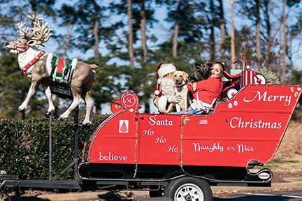 Photos with Santa event 2025