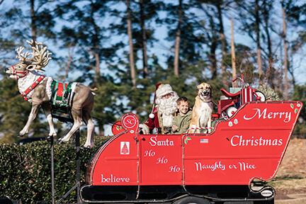 Photos with Santa event 2025