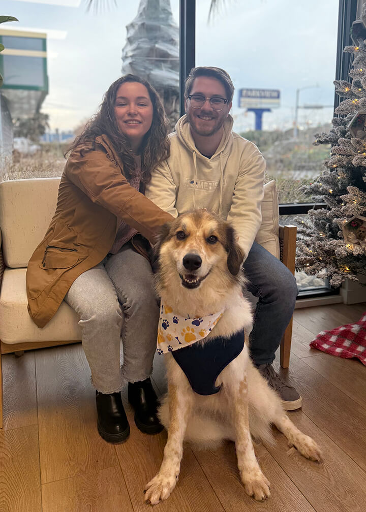 December 2025 Adoption of Gingko