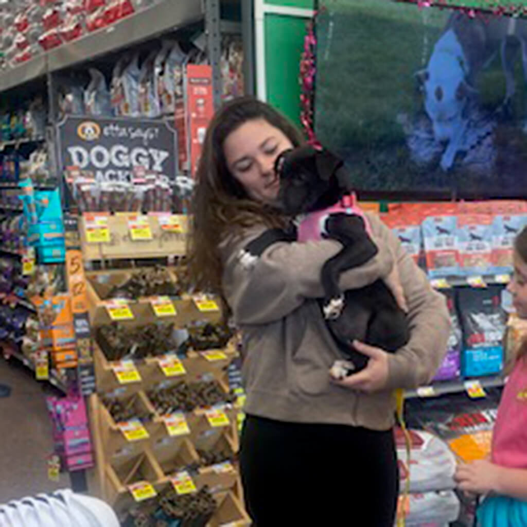 Black dog in pink harness being held by a woman