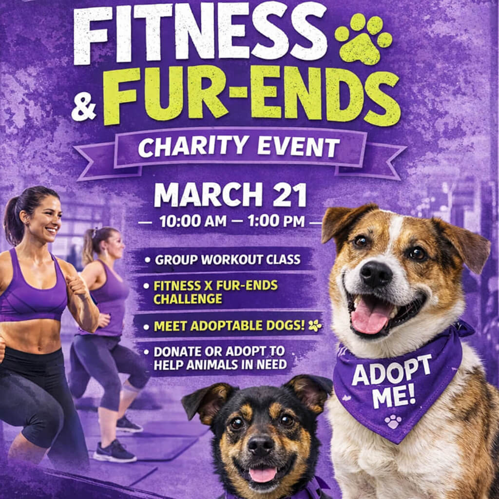 Anytime Fitness poster in purple