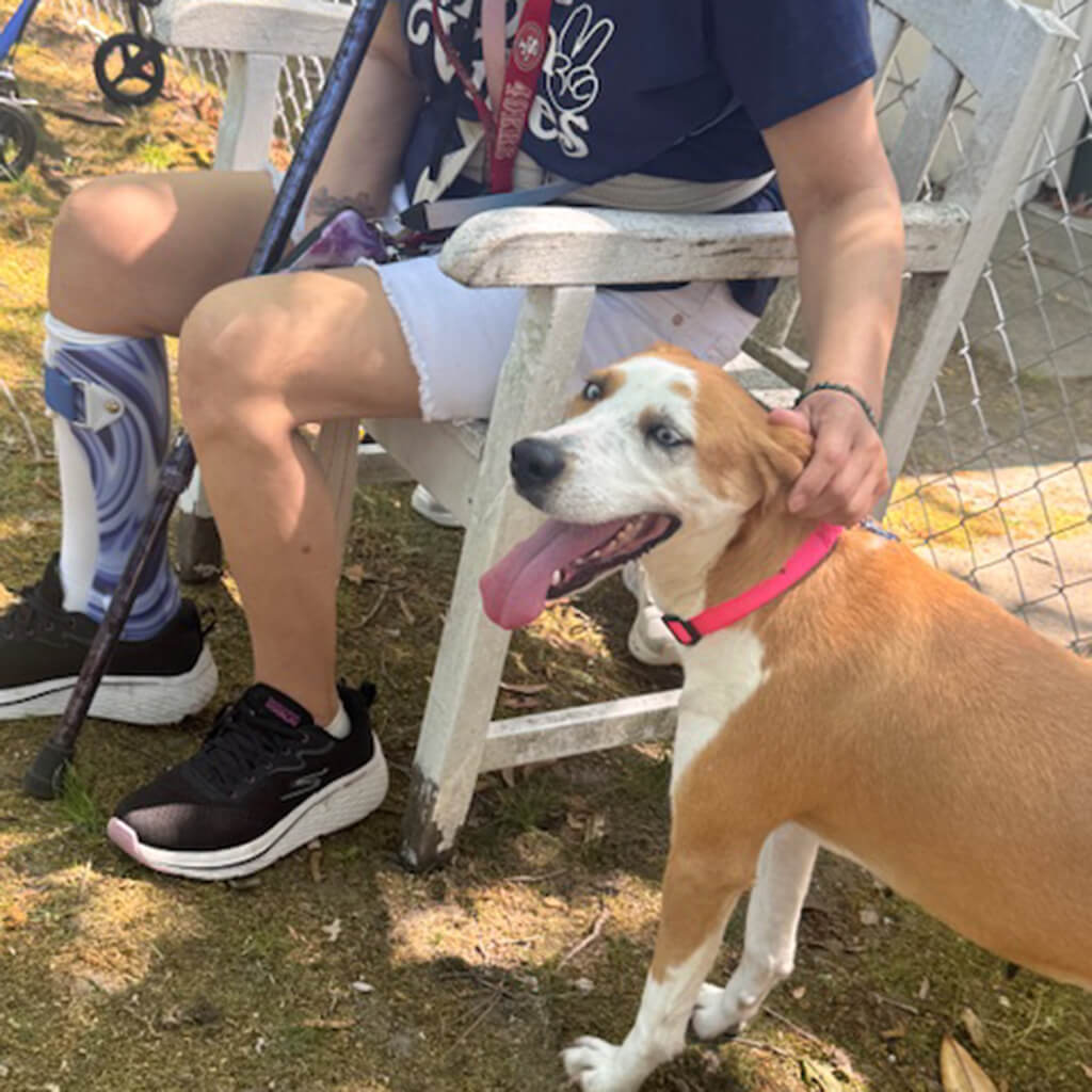 brown and white dog getting ear rubs from a resident