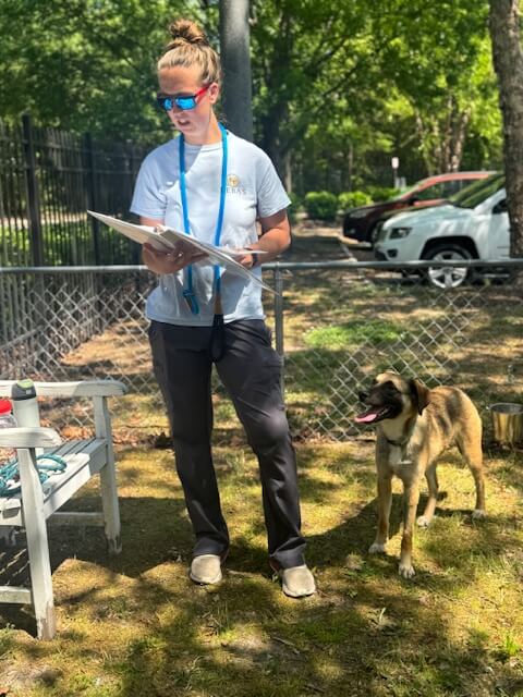Staff member looks through a book while the dog watches