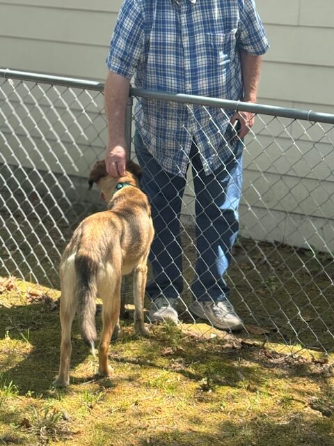 Resident gives neck rubs to the brown dog