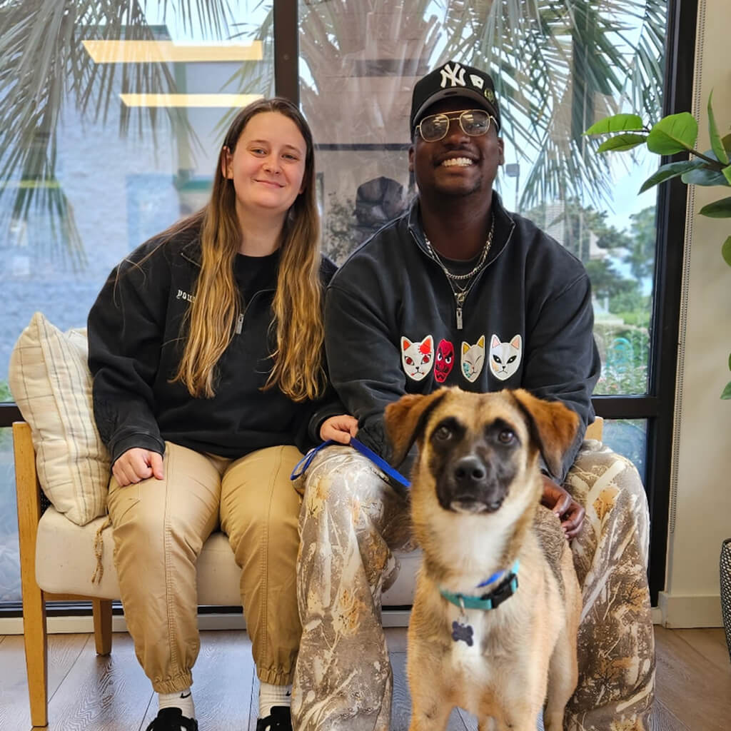 April 2026 adoption - Ember