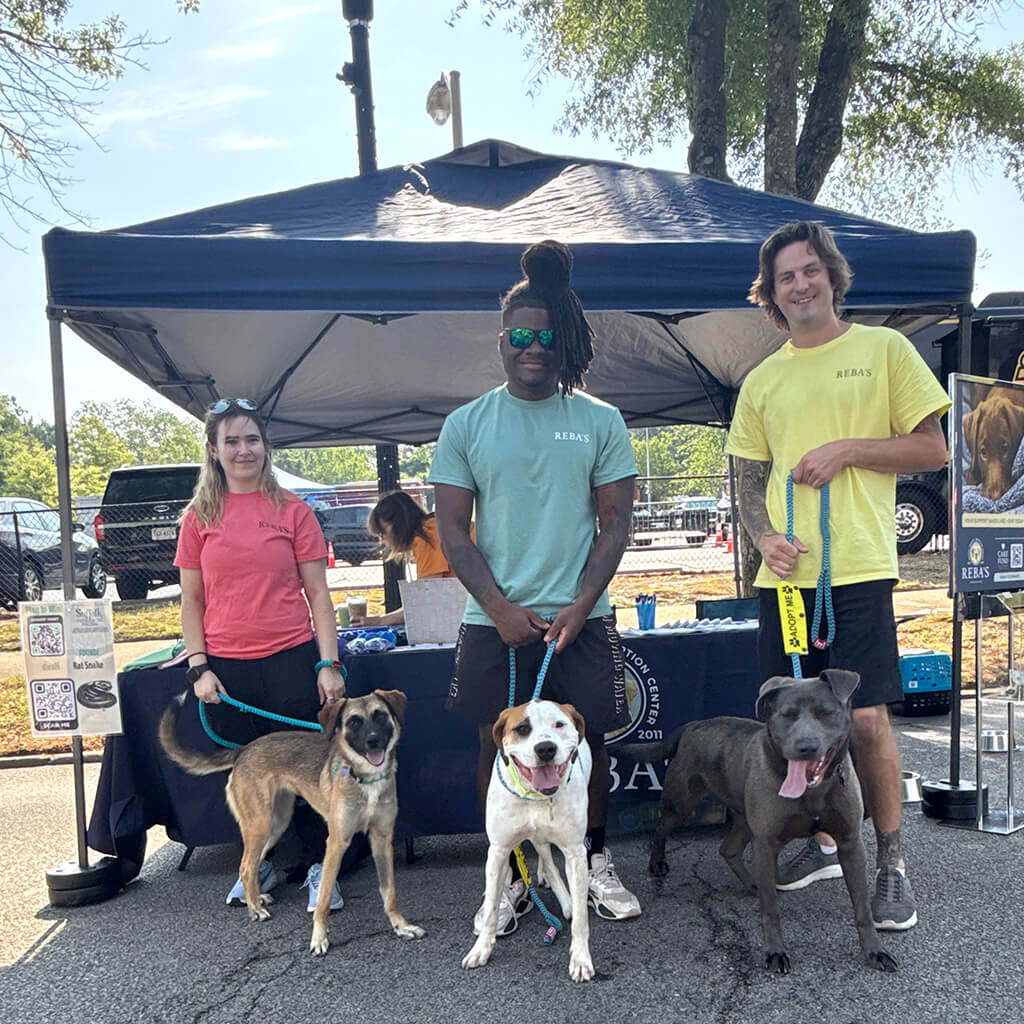 Three staff members pose in front of the Reba's tent with the three dogs that are up for adoption