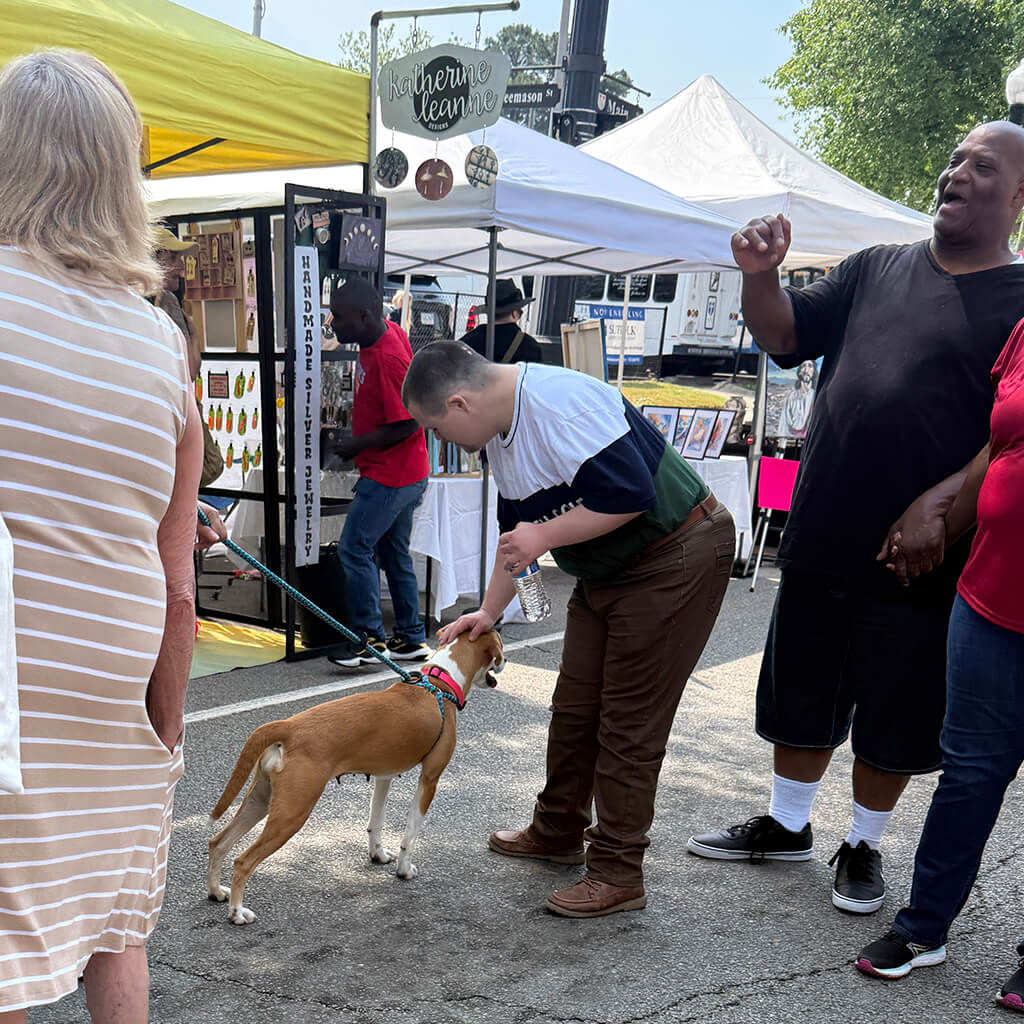 white dog with brown ears get petted by a visitor