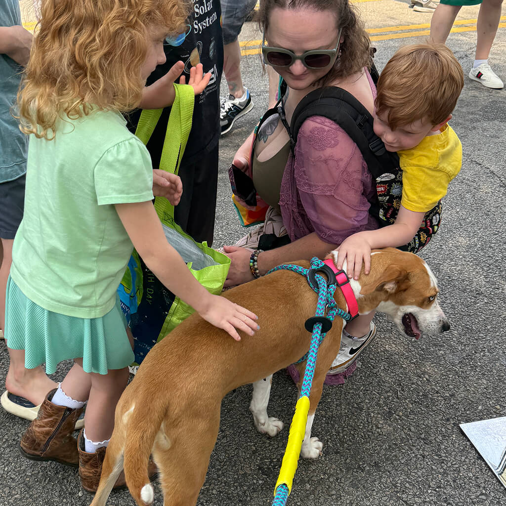 white dog with brown ears gets attention from young family with kids