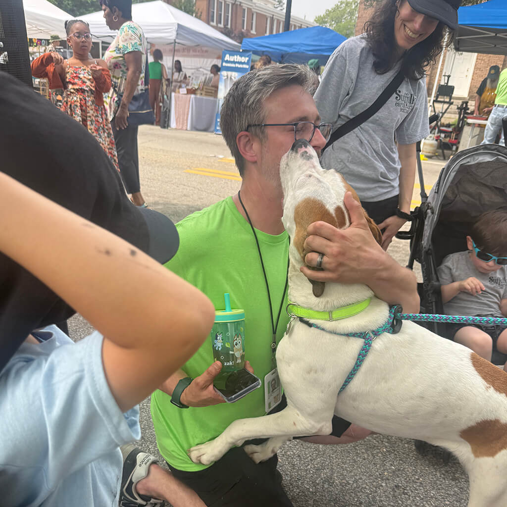 white dog with brown ears gives kisses to a vistor