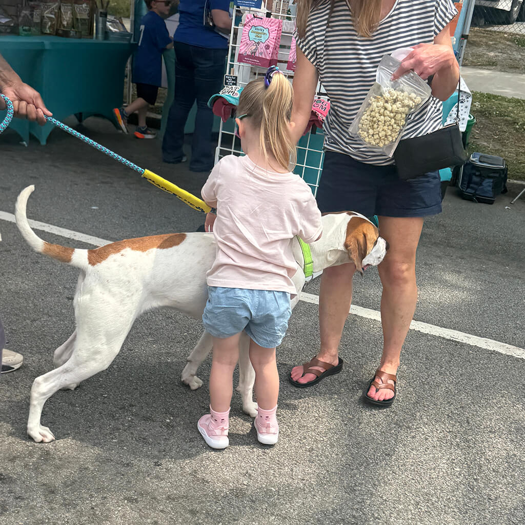 white dog with brown ears gets attention for a little girl and her mom