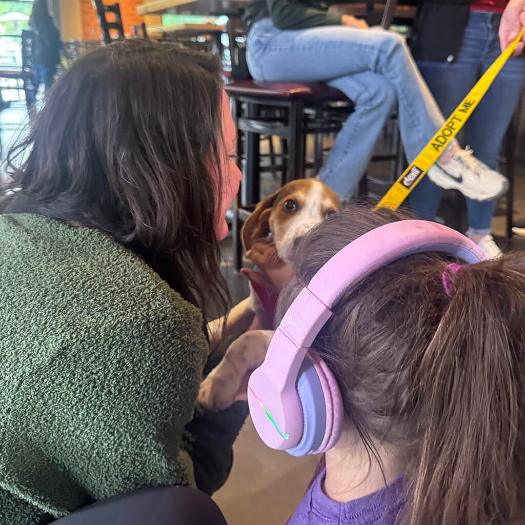 A beagle puppy gets petted from a couple of visitors at Big ugly brewery and photoshoot