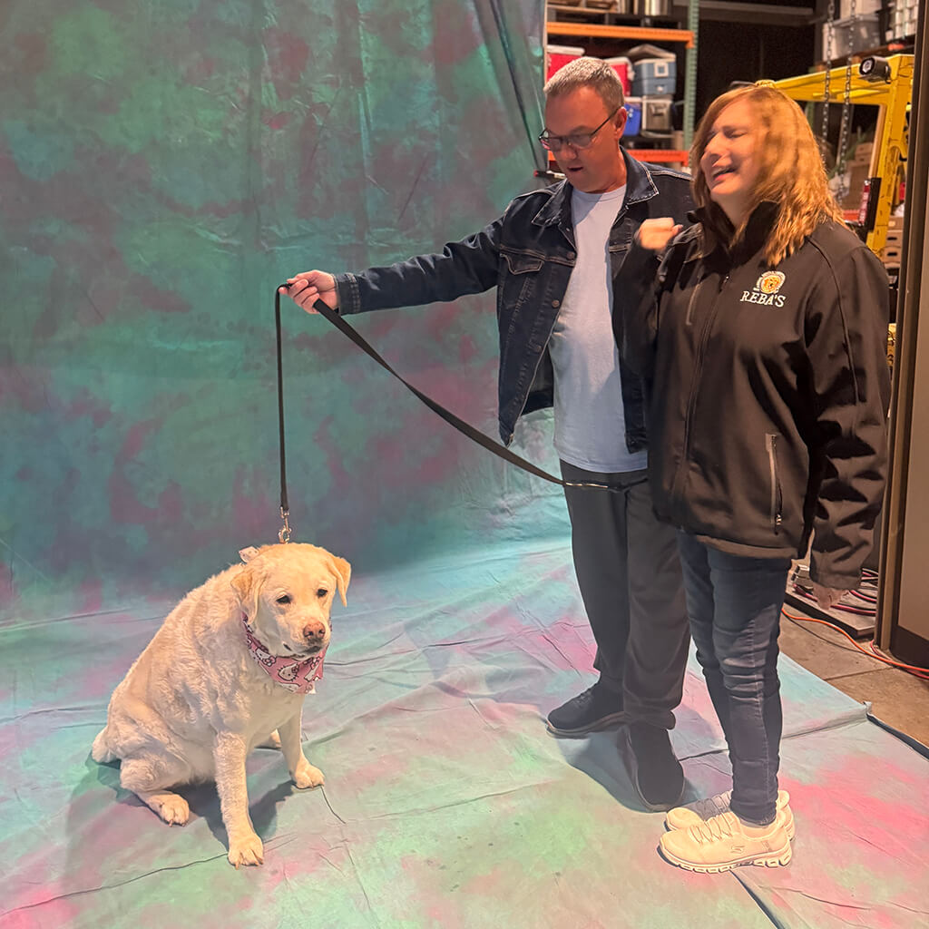 A visiting yellow lab getting his photo taken at Big ugly brewery and photoshoot