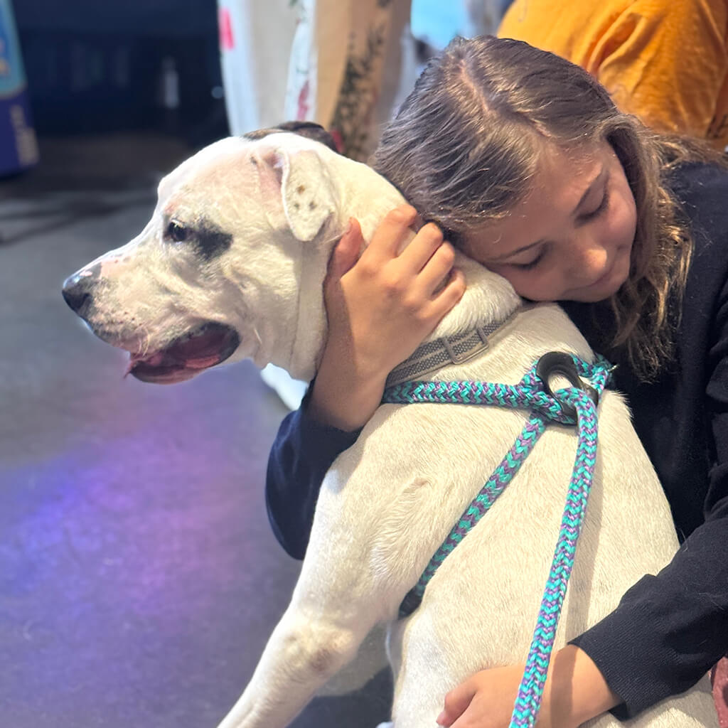 The big white dog getting hugs from a little girl at Big ugly brewery and photoshoot