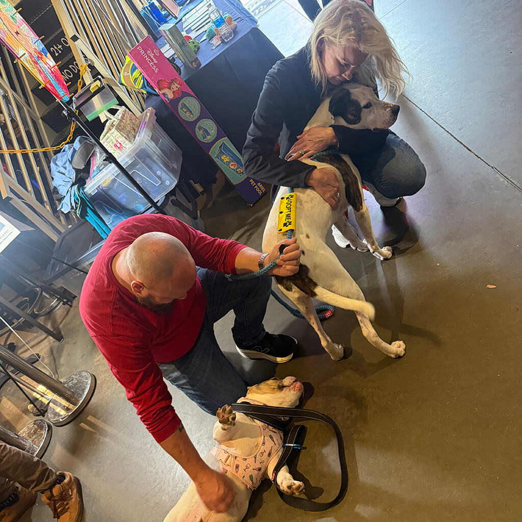 The white dog getting some love at Big ugly brewery and photoshoot
