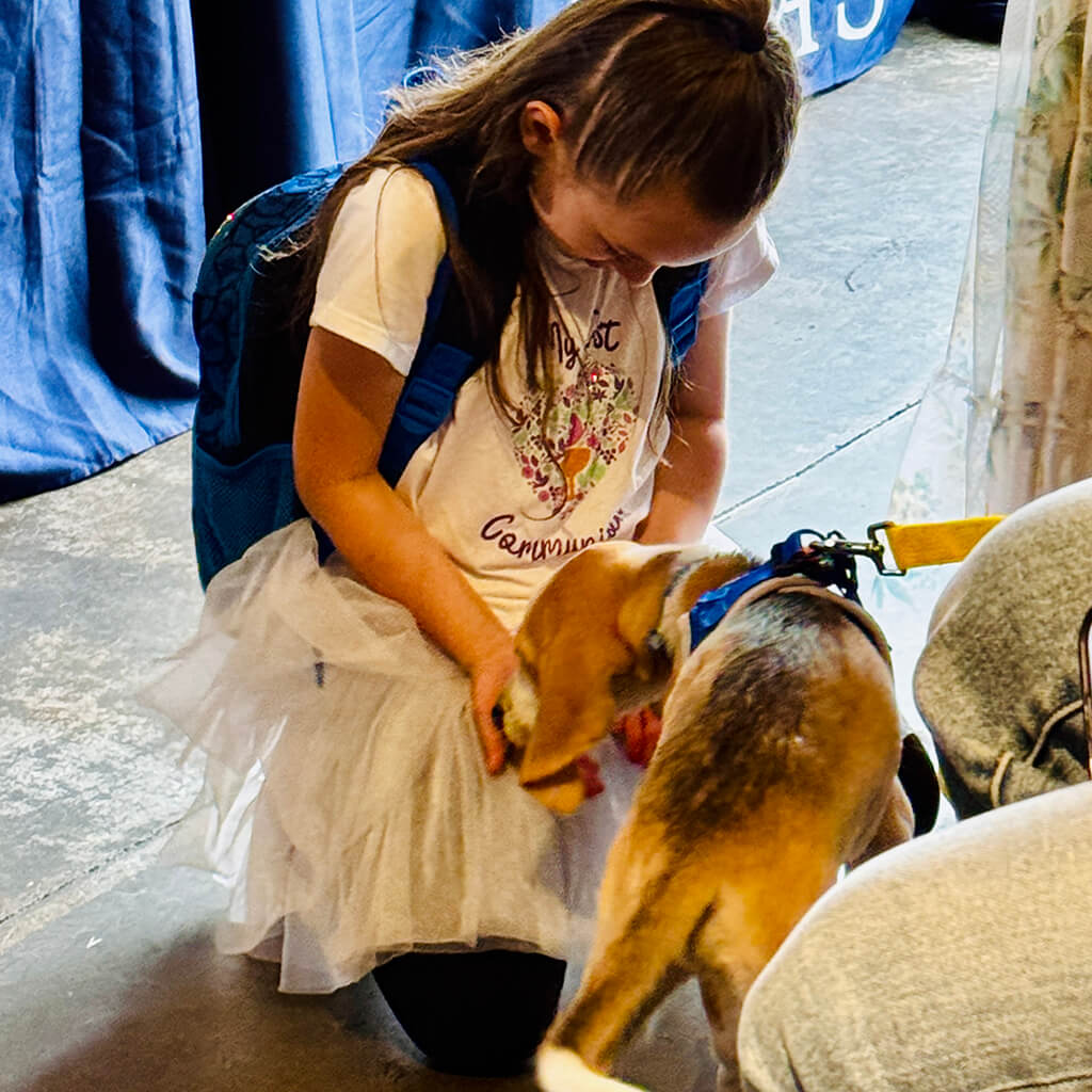 The little beagle puppy sniffing the little girl at Big ugly brewery and photoshoot